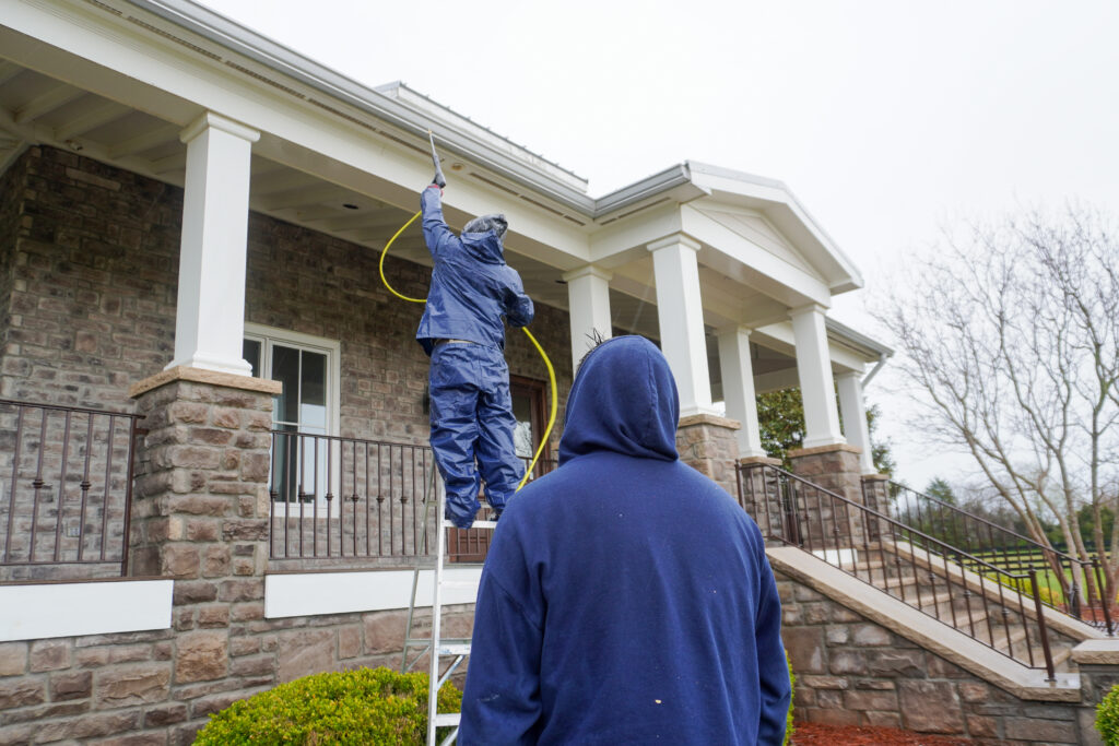 Painting – Geo Decks